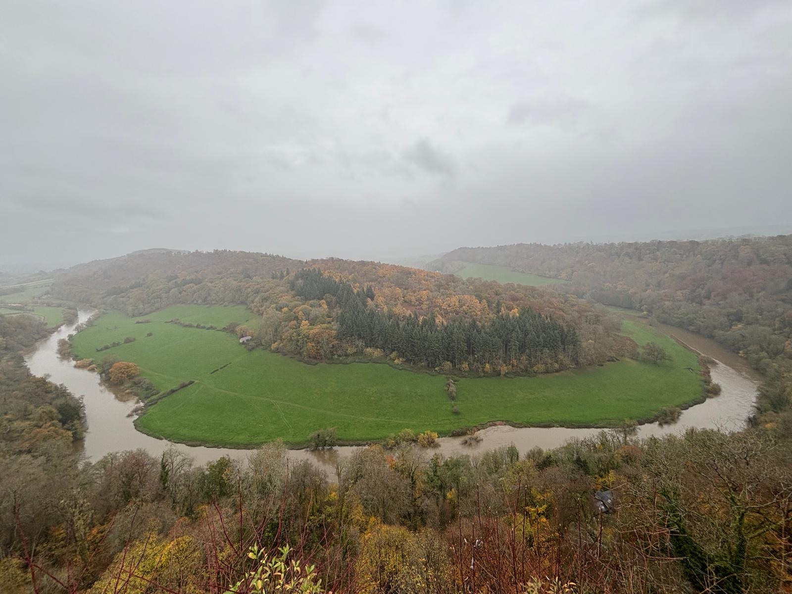 Forest of Dean mountain bike trails